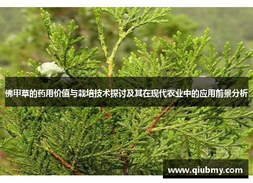 佛甲草的药用价值与栽培技术探讨及其在现代农业中的应用前景分析